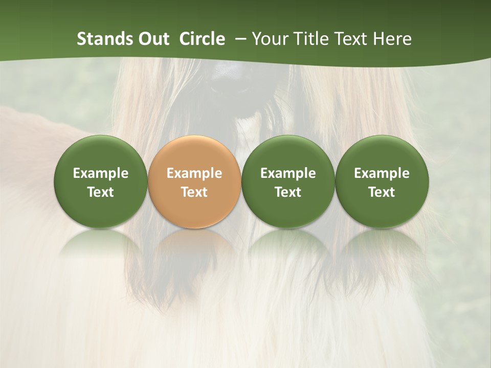 Grass Man Park PowerPoint Template