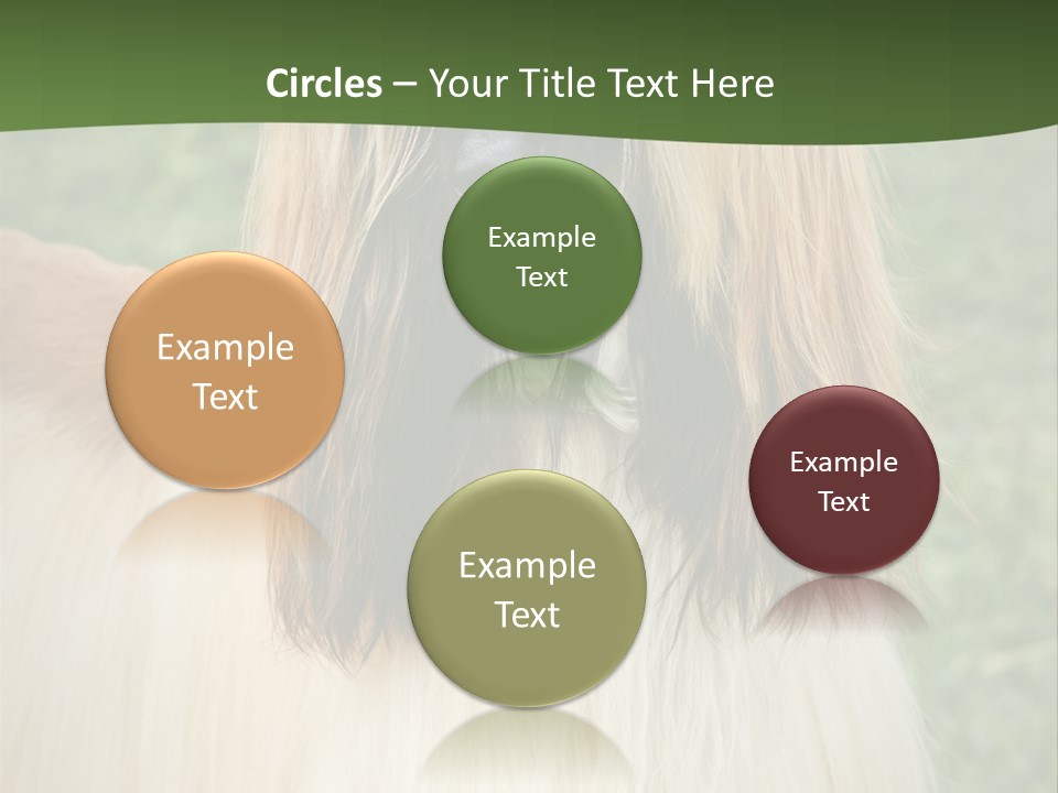 Grass Man Park PowerPoint Template