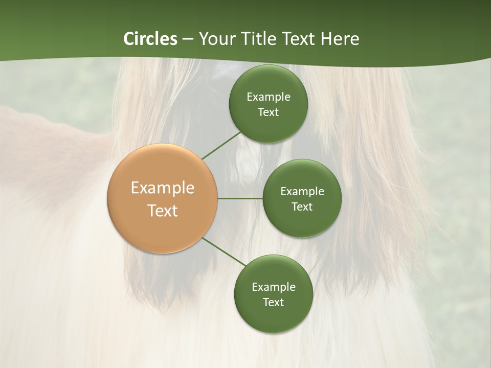 Grass Man Park PowerPoint Template