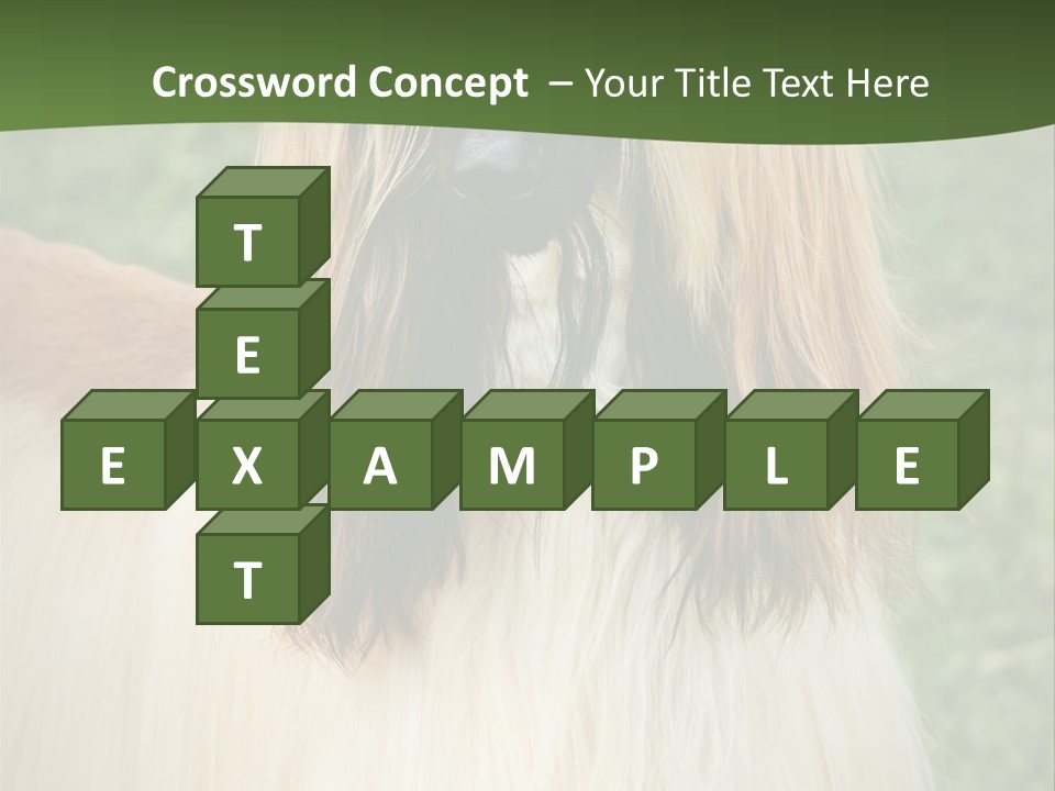 Grass Man Park PowerPoint Template