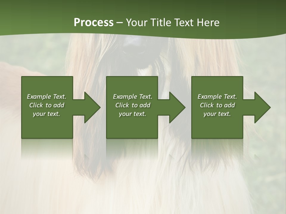 Grass Man Park PowerPoint Template