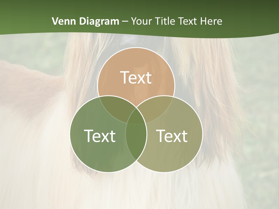 Grass Man Park PowerPoint Template