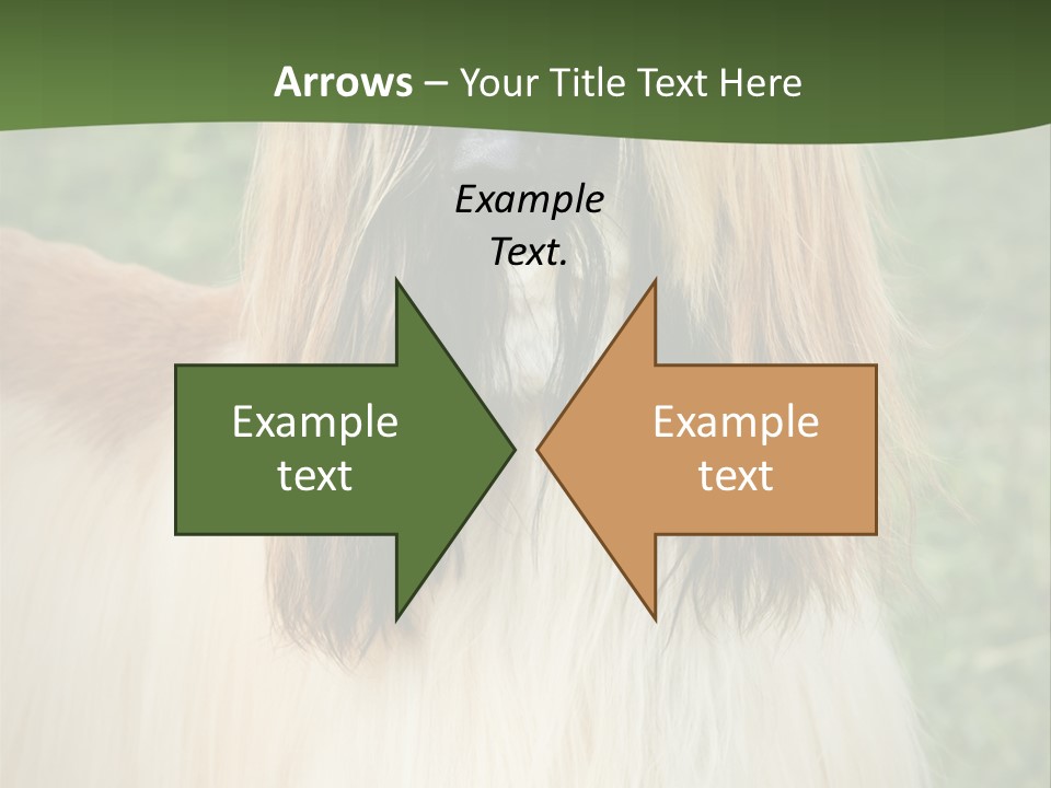 Grass Man Park PowerPoint Template