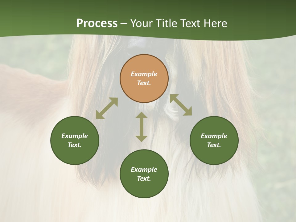 Grass Man Park PowerPoint Template