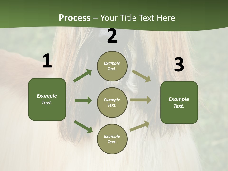 Grass Man Park PowerPoint Template