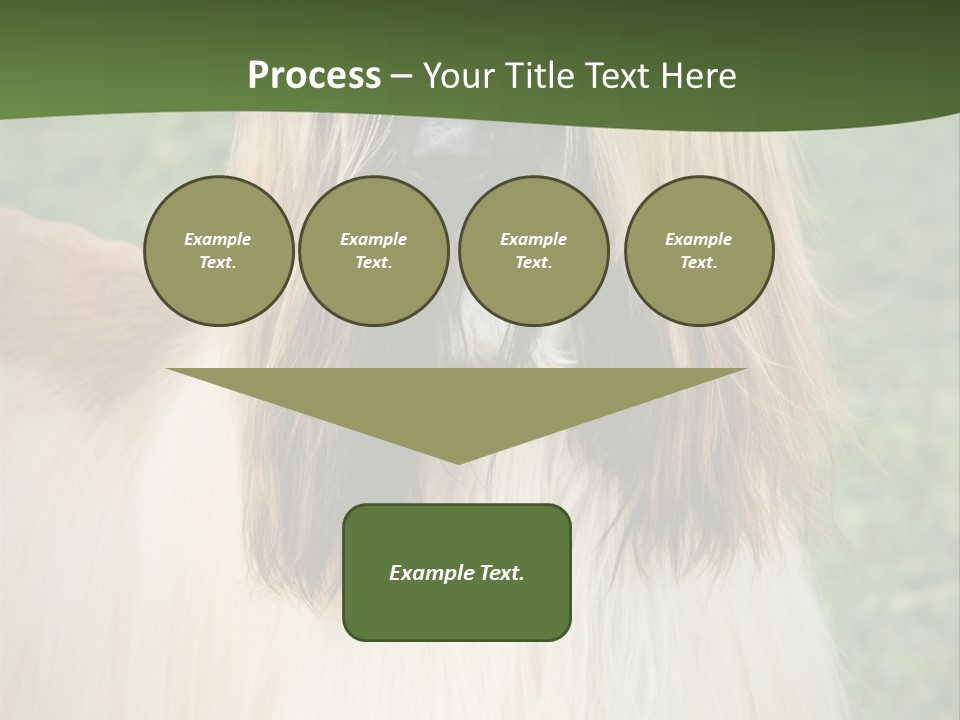 Grass Man Park PowerPoint Template