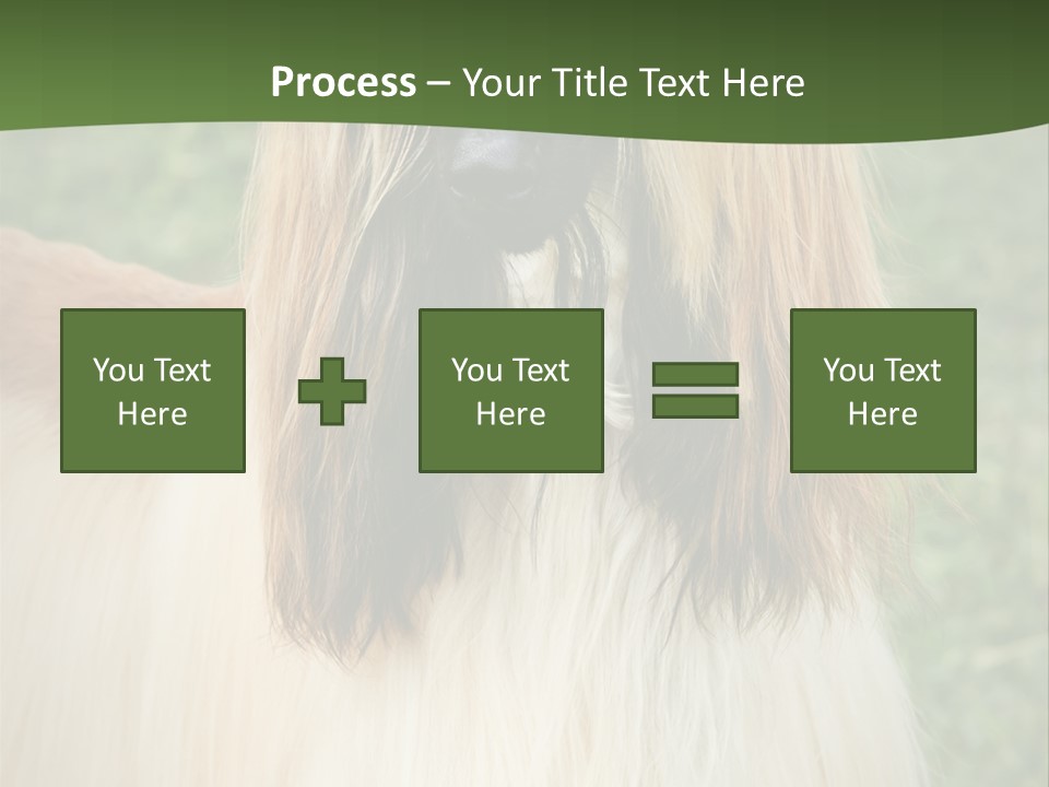 Grass Man Park PowerPoint Template