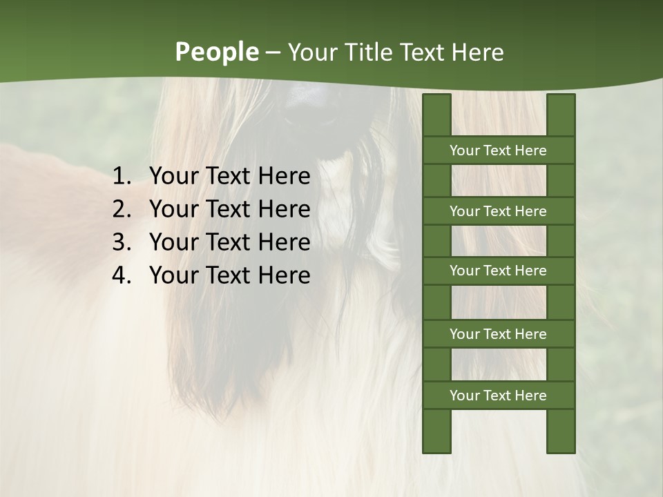 Grass Man Park PowerPoint Template