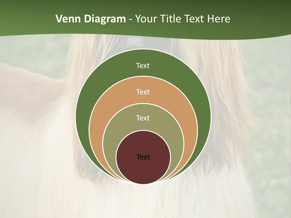Grass Man Park PowerPoint Template