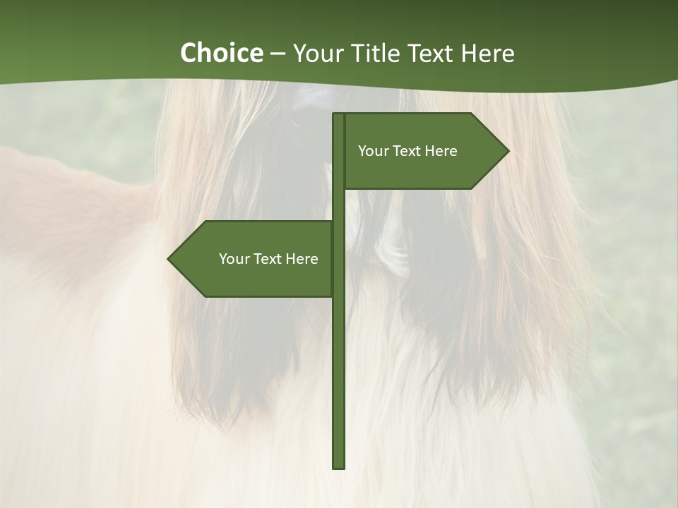 Grass Man Park PowerPoint Template