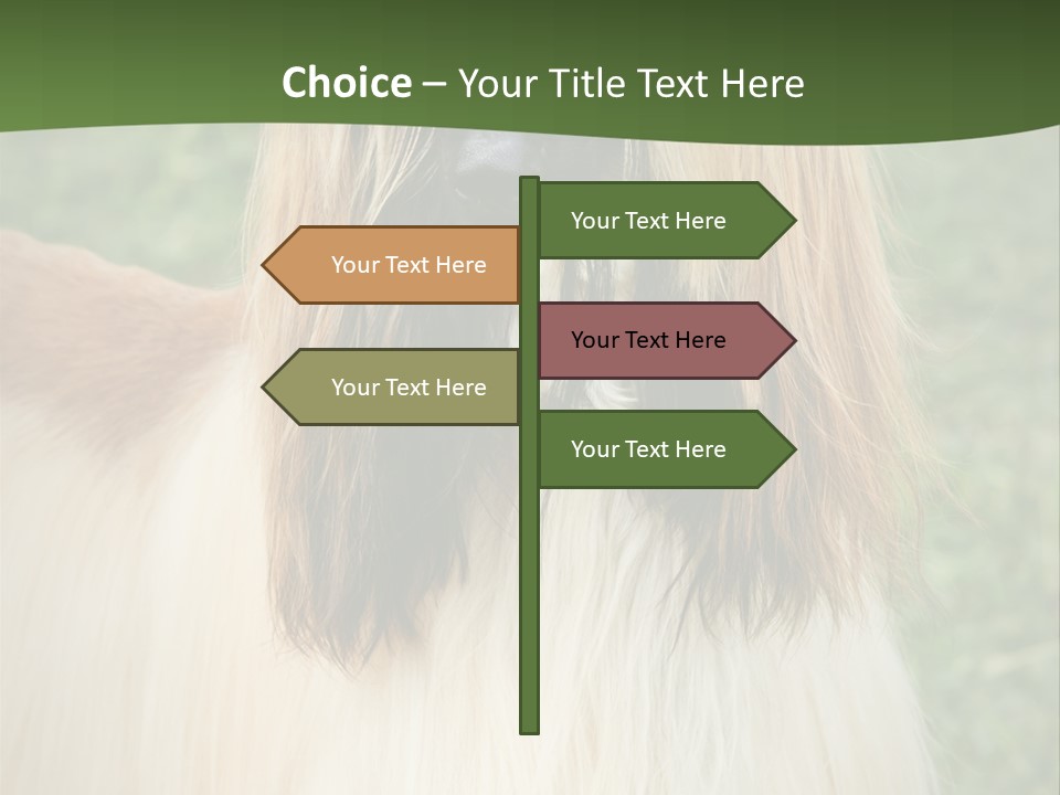 Grass Man Park PowerPoint Template