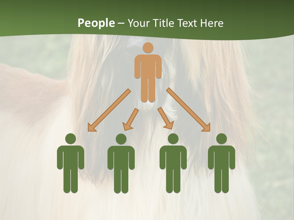 Grass Man Park PowerPoint Template