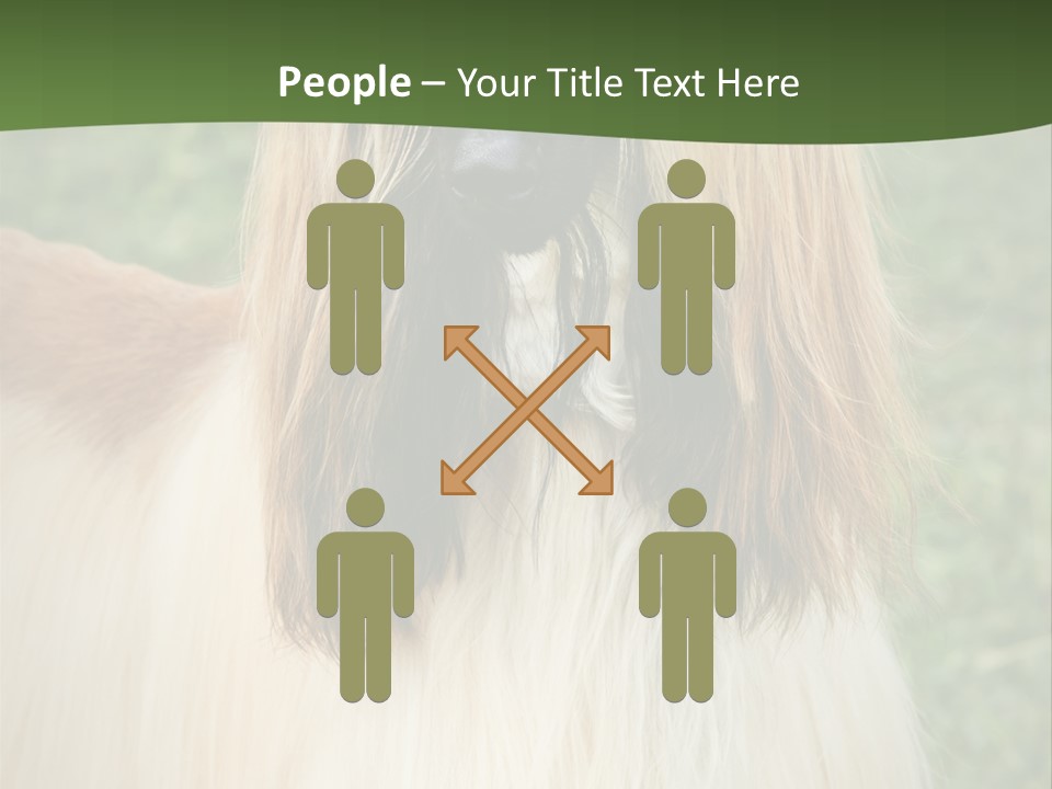 Grass Man Park PowerPoint Template