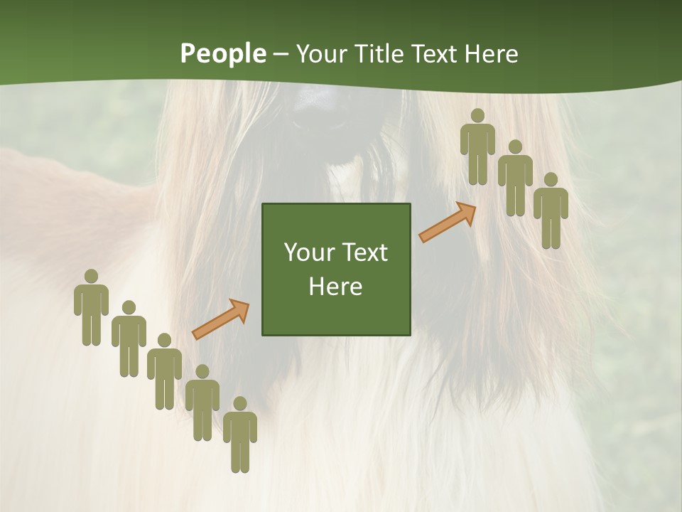 Grass Man Park PowerPoint Template