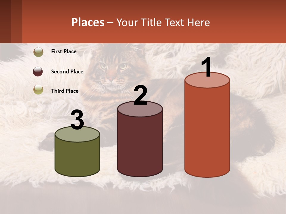 Conceptual Build Man PowerPoint Template