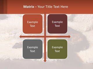 Conceptual Build Man PowerPoint Template