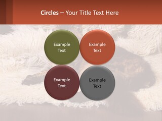 Conceptual Build Man PowerPoint Template