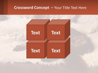Conceptual Build Man PowerPoint Template