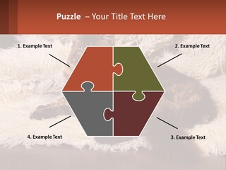 Conceptual Build Man PowerPoint Template