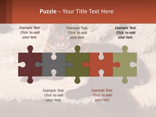 Conceptual Build Man PowerPoint Template