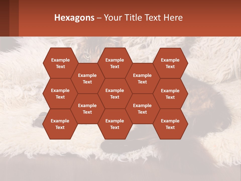 Conceptual Build Man PowerPoint Template