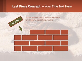 Conceptual Build Man PowerPoint Template