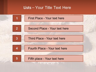 Conceptual Build Man PowerPoint Template