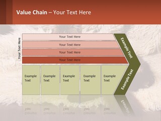 Conceptual Build Man PowerPoint Template