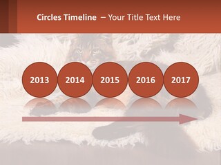 Conceptual Build Man PowerPoint Template