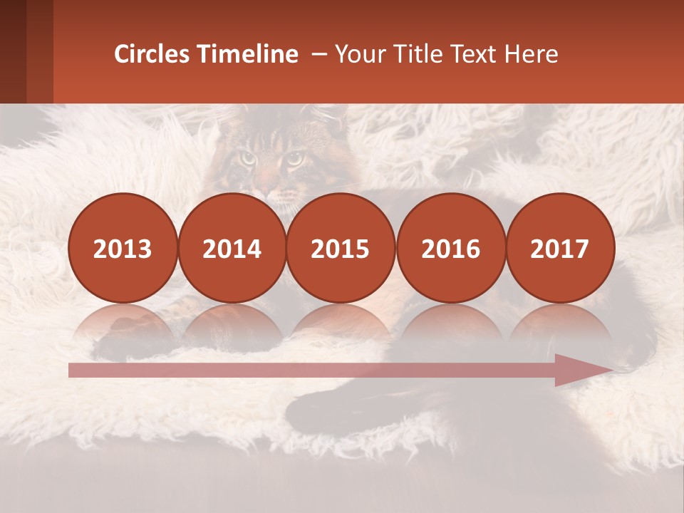 Conceptual Build Man PowerPoint Template