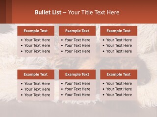 Conceptual Build Man PowerPoint Template