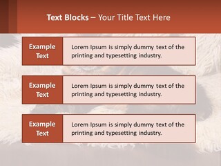 Conceptual Build Man PowerPoint Template