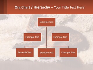 Conceptual Build Man PowerPoint Template