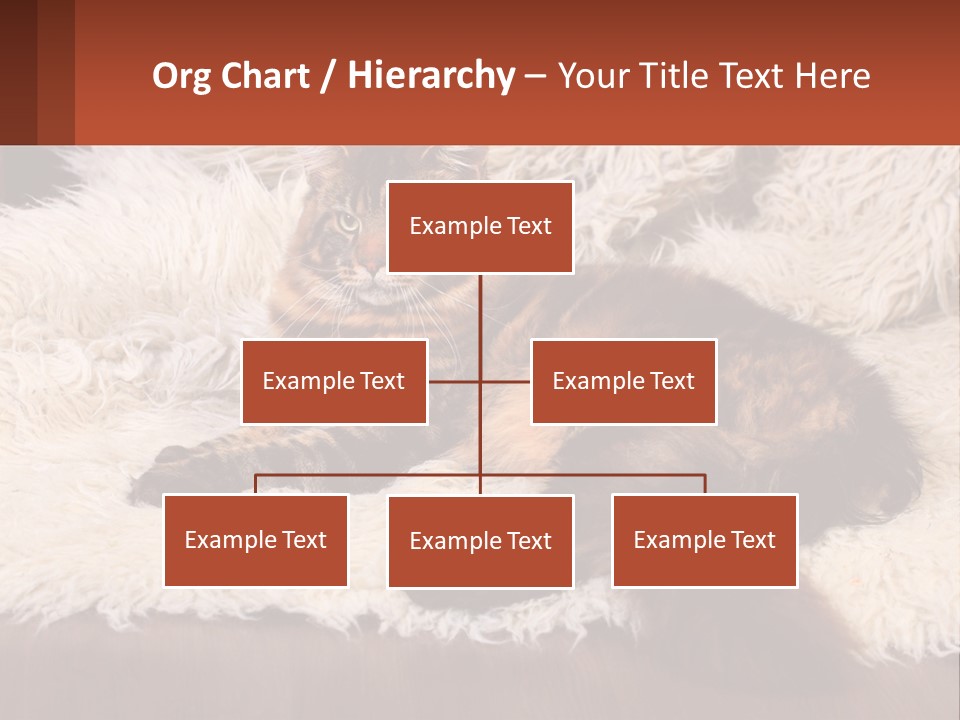 Conceptual Build Man PowerPoint Template