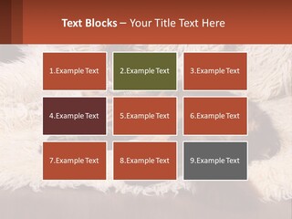 Conceptual Build Man PowerPoint Template