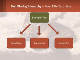 Conceptual Build Man PowerPoint Template