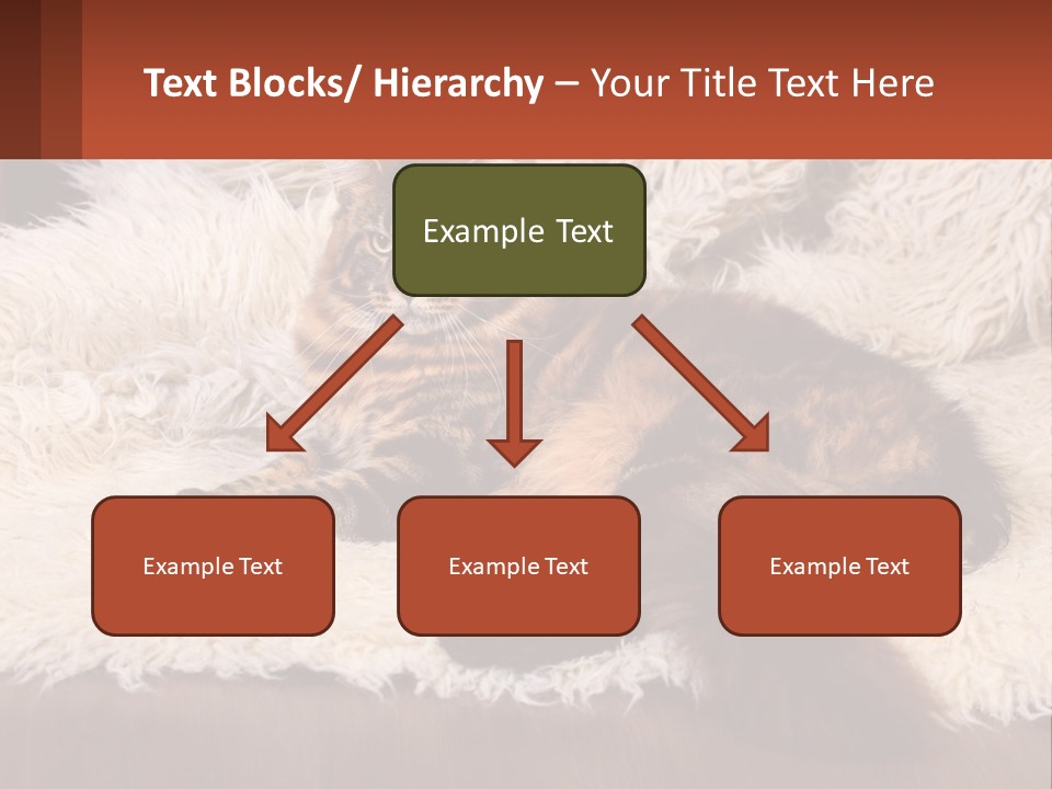 Conceptual Build Man PowerPoint Template