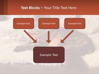 Conceptual Build Man PowerPoint Template