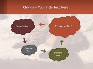 Conceptual Build Man PowerPoint Template