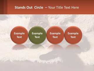 Conceptual Build Man PowerPoint Template