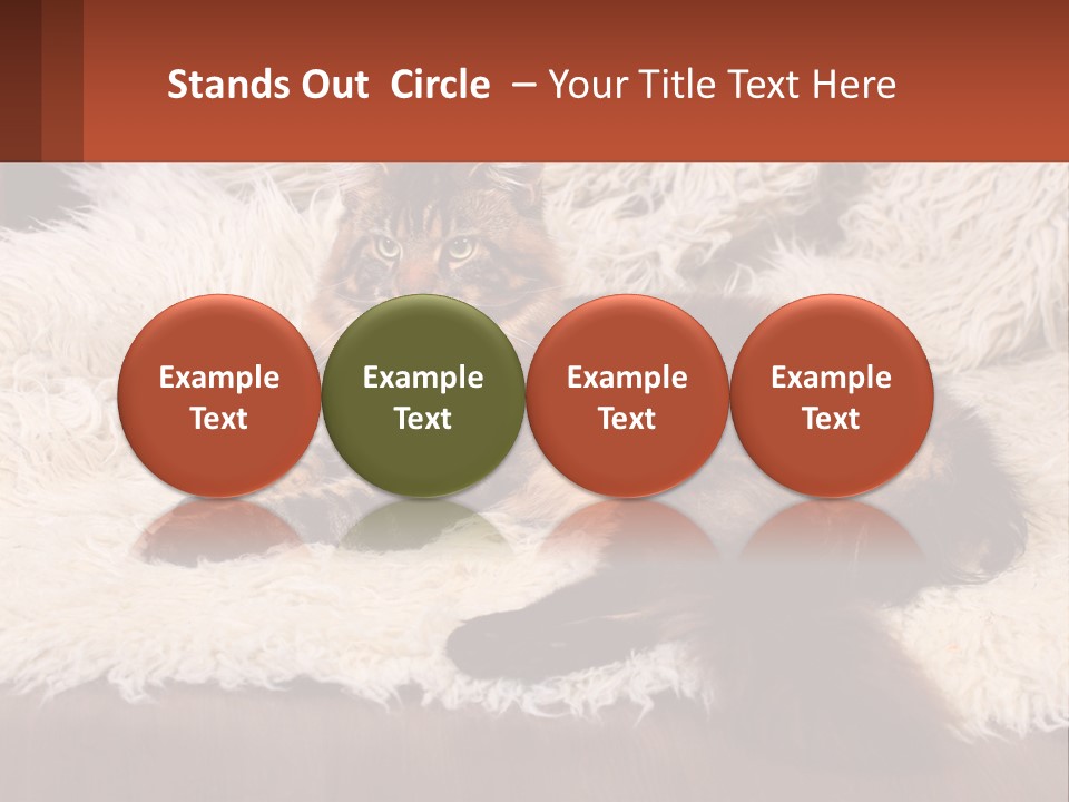 Conceptual Build Man PowerPoint Template