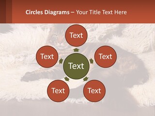 Conceptual Build Man PowerPoint Template