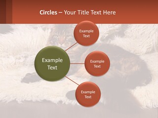 Conceptual Build Man PowerPoint Template