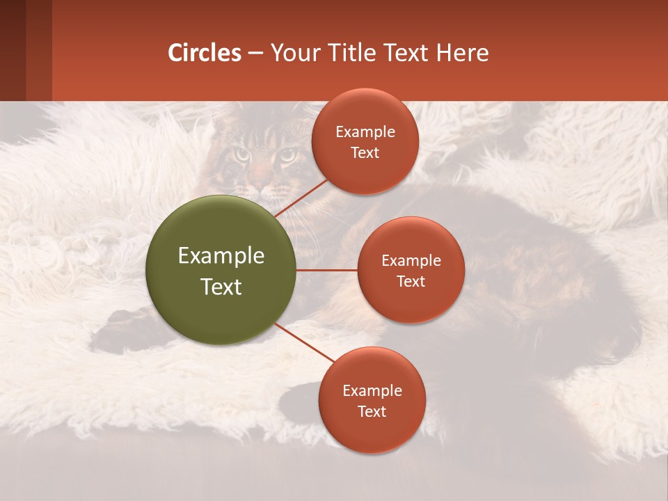 Conceptual Build Man PowerPoint Template