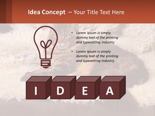 Conceptual Build Man PowerPoint Template