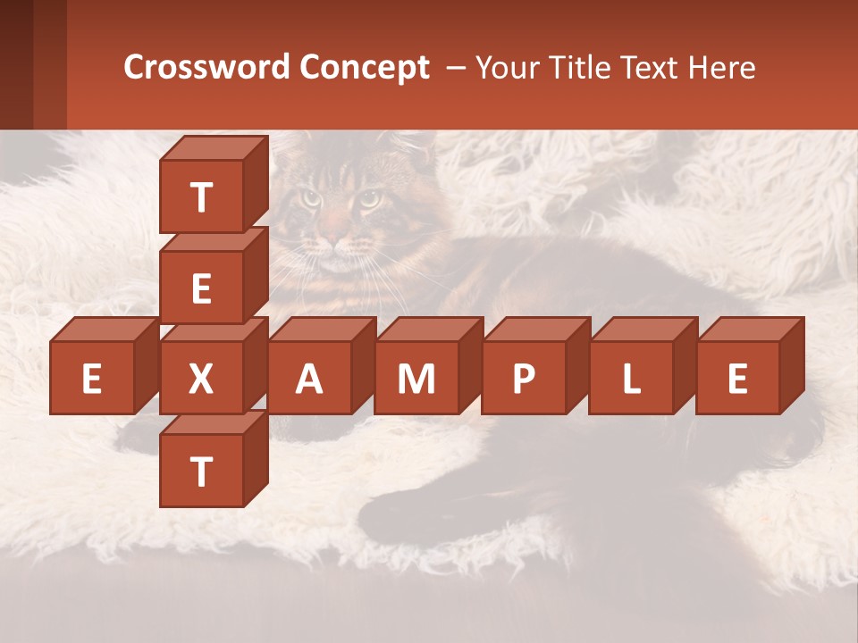 Conceptual Build Man PowerPoint Template