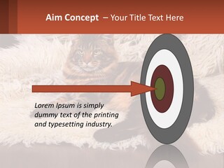 Conceptual Build Man PowerPoint Template