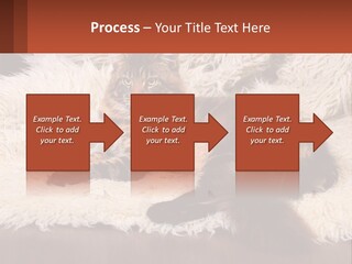 Conceptual Build Man PowerPoint Template