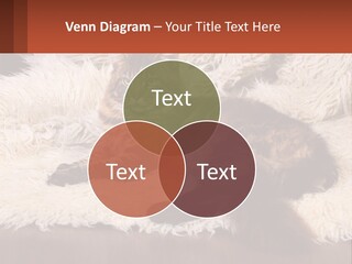 Conceptual Build Man PowerPoint Template