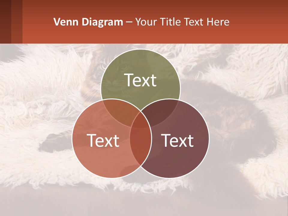 Conceptual Build Man PowerPoint Template